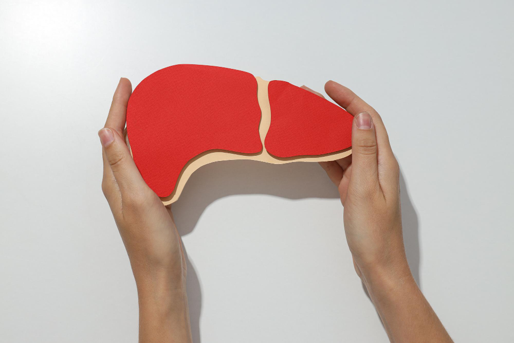 膵臓（すい臓）