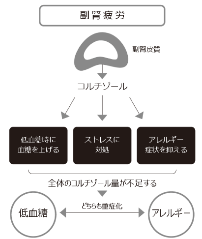 副腎とアレルギー